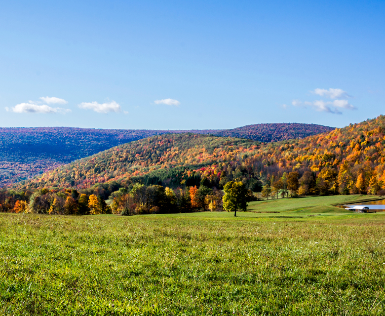 Rockdale Marcellus upstream natural gas asset